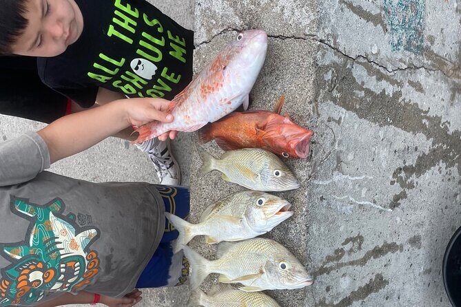 4-Hour Fishing Charter in Nassau - Key points to know before you go