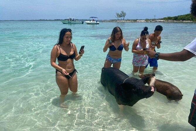 4hr Private Tour Island Hop Snorkel w/ Turtles & Sip Bahama Mamas - Green Turtle Cay Snorkeling: Your Main Turtle-and-Reef Block