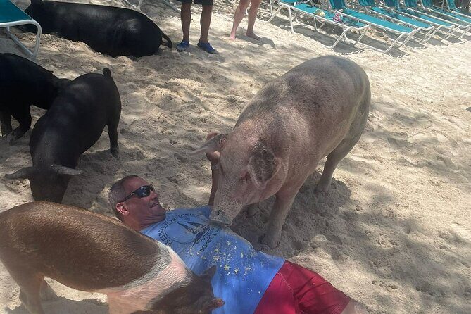 4hr Private Tour Island Hop Snorkel w/ Turtles & Sip Bahama Mamas - Snacks, Bahama Mamas, and What to Pack So You Feel Comfortable