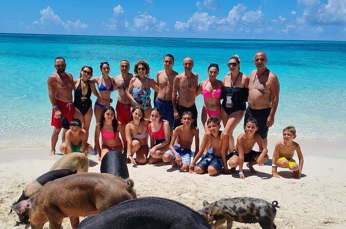 Athol Island Swimming Pigs Half-Day Boat Tour with Lunch - Price and Value: Is $350 Worth It?