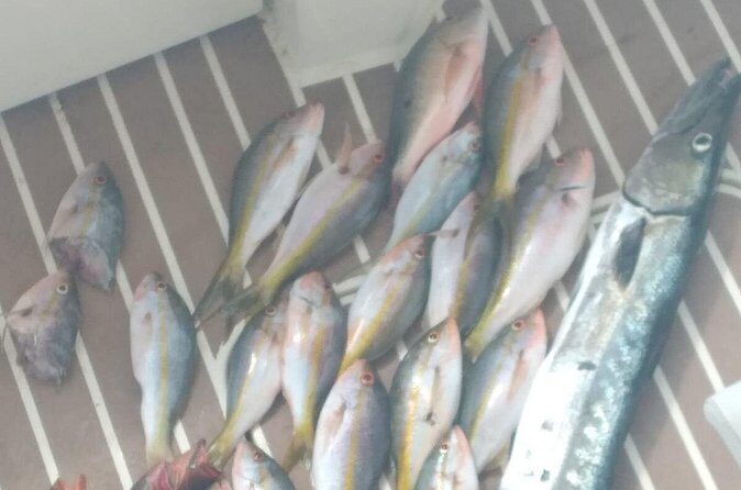 Bahamas Deep Sea Fishing - Included Perks That Actually Matter on a Fishing Trip