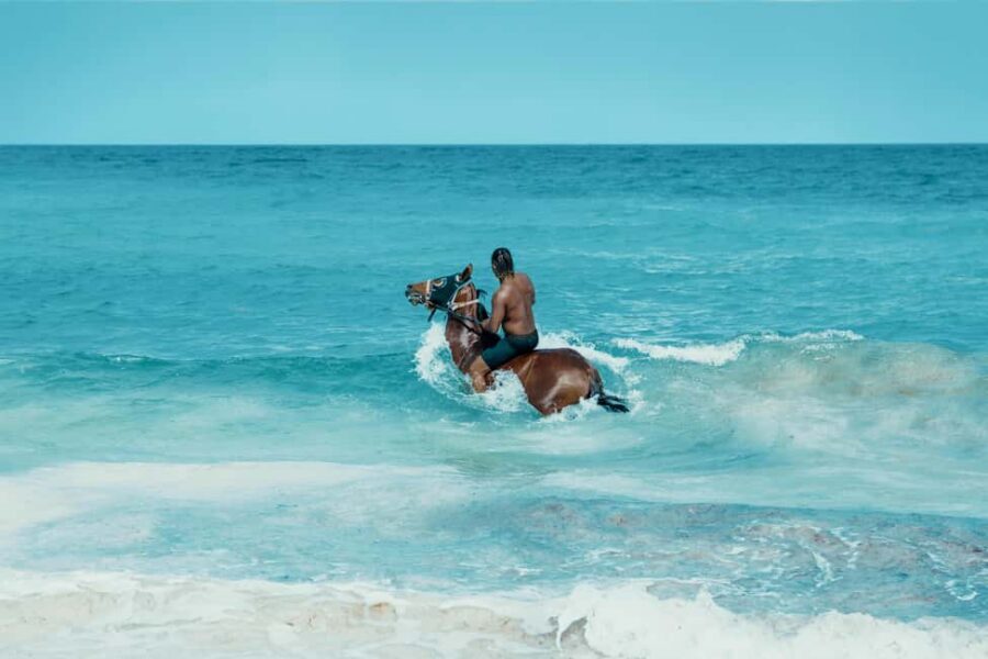 Bahamas: Nassau Horseback Riding on Beaches & Trails - Key Takeaways Before You Saddle Up