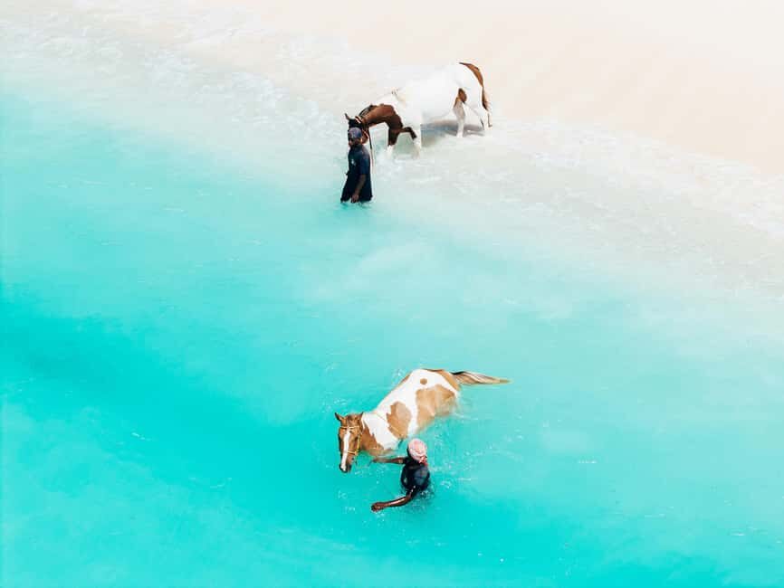 Bahamas: Nassau Horseback Riding on Beaches & Trails - Nassau Horseback Riding: Why This Feels More Like a Day With Nature Than a Checklist