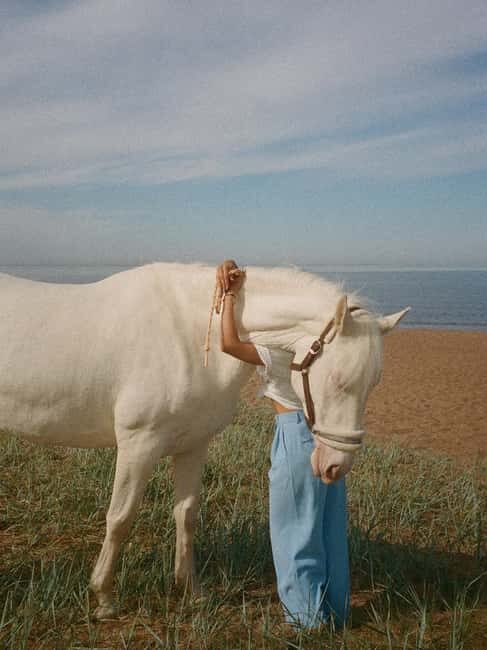 Bahamas: Nassau Horseback Riding on Beaches & Trails - The Practical Reality: How It Feels During the Two-Hour Ride