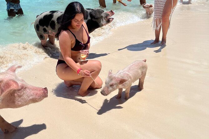 Bahamas Swimming Pigs Experience on Rose Island - Lunch and drinks: what’s included, and where the line can slow you down