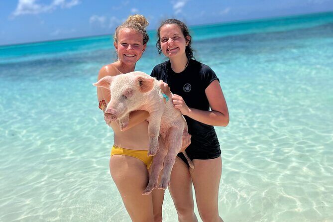 Bahamas Swimming Pigs Experience on Rose Island - Group size, vibe, and how the guides keep it working