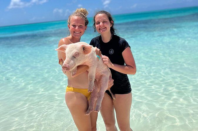 Bahamas Swimming Pigs Experience on Rose Island - Weather, sea conditions, and why this tour needs a flexible mindset
