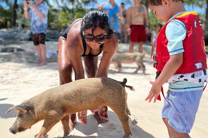 Bahamas Swimming Pigs Experience on Rose Island - Nassau pickup and the fast ferry-style transfer