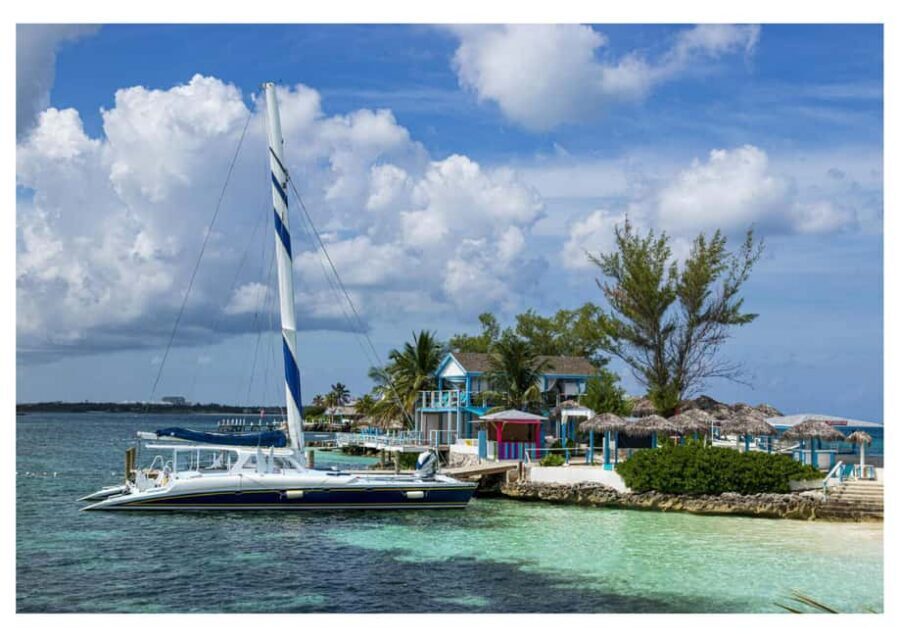 Bahamas: Swimming Pigs & Snorkeling Cruise with Lunch & Rum - Swimming Pigs at Rose Island: Worth It If You Go With the Right Mindset