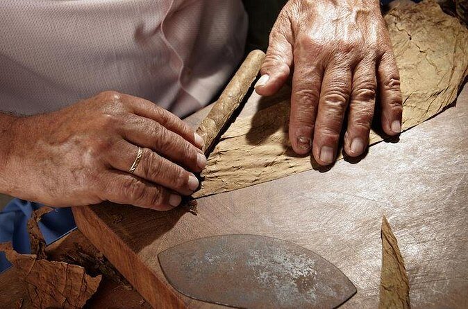 Cigar Rolling Lesson in Nassau - What to bring and how to plan your day