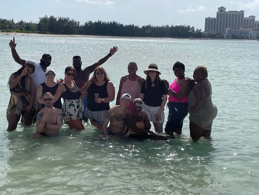 Customizable half day group tour (price per vehicle) - The bus, the schedule, and how to squeeze the most out of four hours