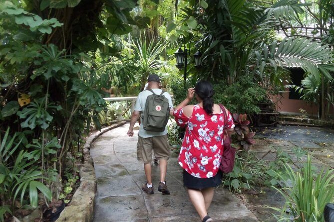 Dilly Dally Walking Tour of Nassau Attractions - Meeting at East Street & Bay Street (And What to Expect First)