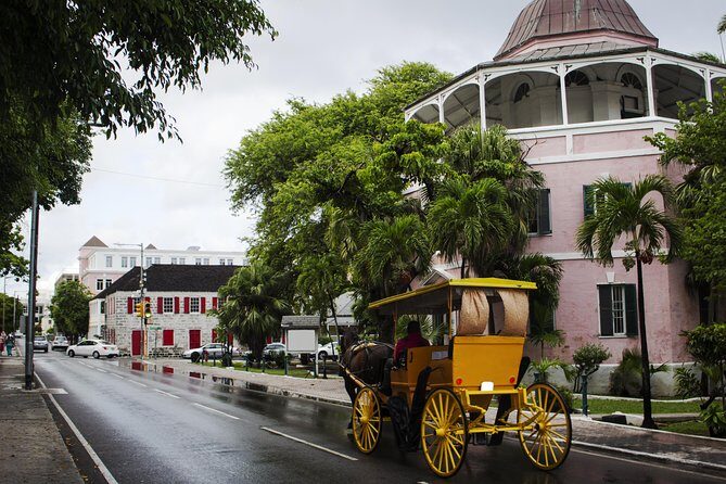 Dilly Dally Walking Tour of Nassau Attractions - Pacing, Group Size, and How the Walk Feels in Real Life