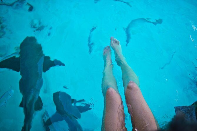 Exuma Elite Escape: Luxury Fly-In Pig Beach Adventure - 7 Stops - Compass Cay sharks, then a sandbar reset