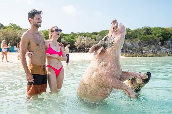 Exuma Elite Escape: Luxury Fly-In Pig Beach Adventure - 7 Stops - Pig Beach: short time, big wow factor