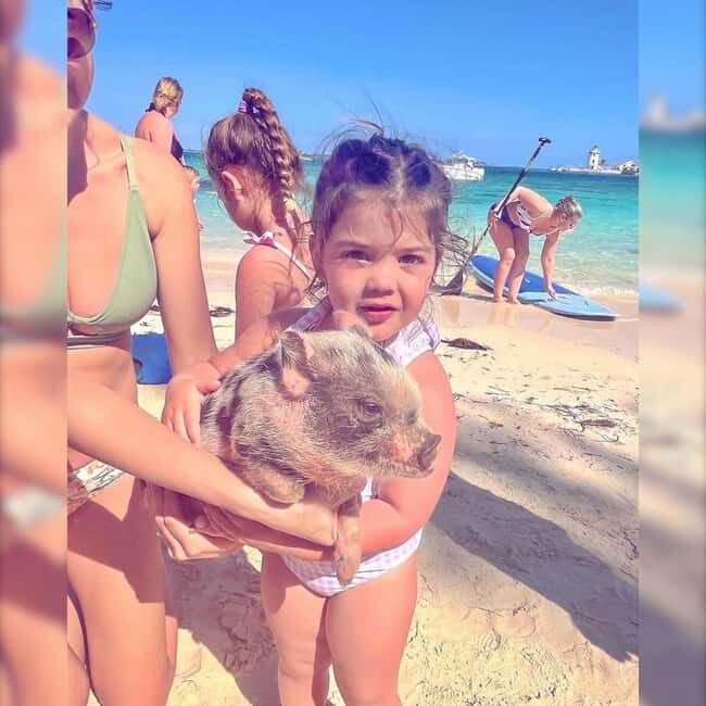 From Nassau: Swim with Pigs Safari - Who this tour suits best (and who should skip it)