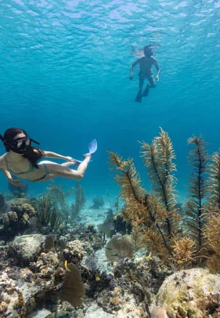 Full Day Sail and Snorkel with Turtles - From Paradise Island to Rose Island: the 6-hour flow