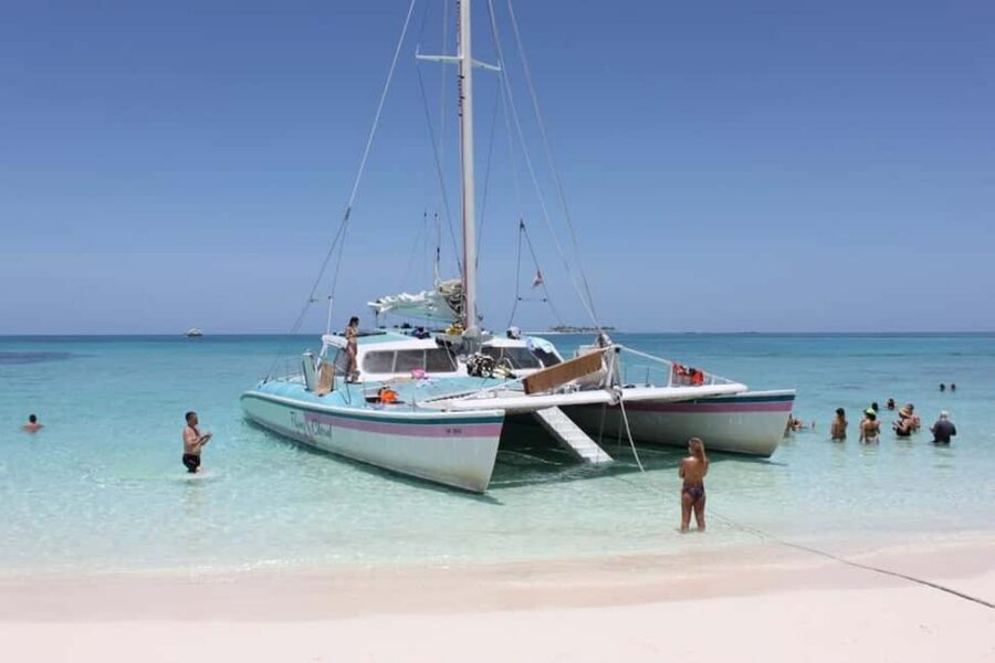 Full Day Sail and Snorkel with Turtles - Turtle viewing from the boat: why this stop works