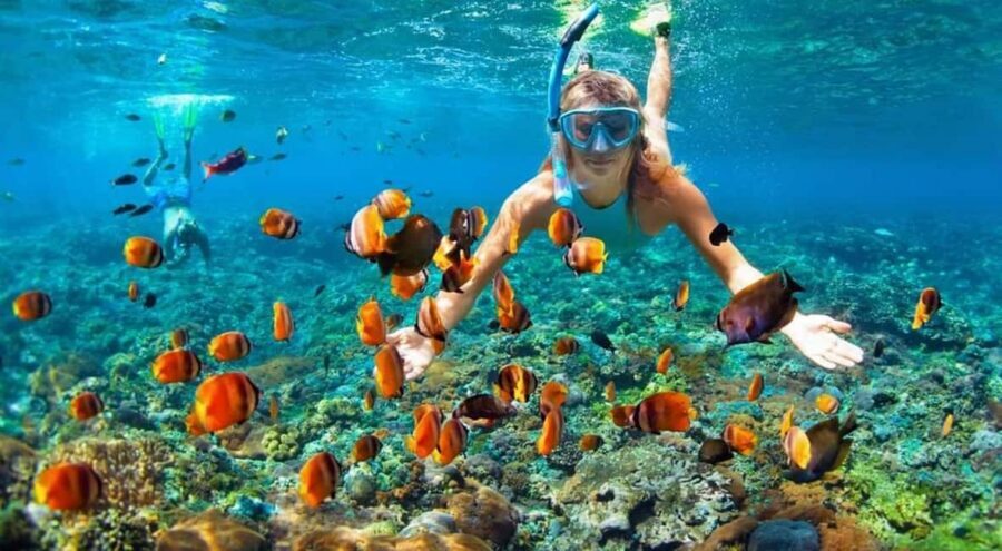 Full Day Sail and Snorkel with Turtles - Rose Island beach time: warm water, white sand, and a guided hour