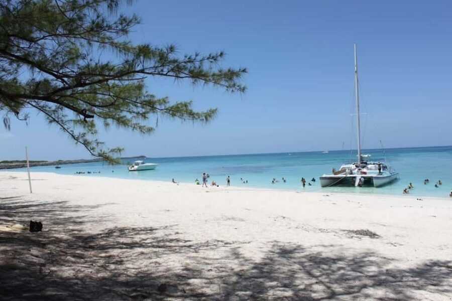Full Day Sail and Snorkel with Turtles - Sailing back through Nassau Harbor: the relaxing finish