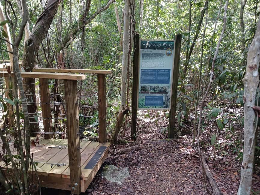 Guided Primeval Nature Walk Tour - Getting Off the Cruise Route: Why This Walk Feels Different