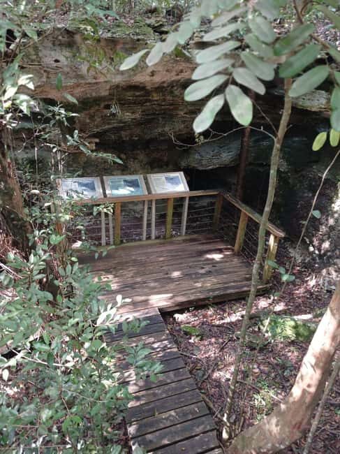 Guided Primeval Nature Walk Tour - Cave Point: Limestone Caves and a Quick Nature Reset