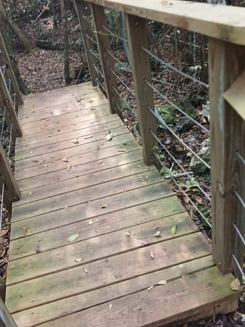 Guided Primeval Nature Walk Tour - Primeval Forest National Park: Sinkholes, Wildlife, and Real Nassau Nature