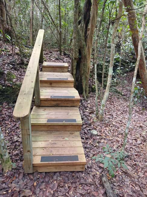 Guided Primeval Nature Walk Tour - Price and Value: What $140 Really Buys You
