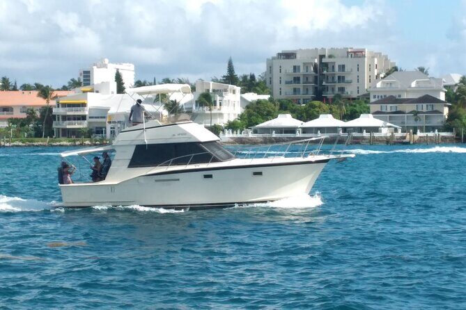Half-Day at Green Cay Bahamas Snorkeling with Turtles - Green Cay turtle encounters: swim close, or chill with them