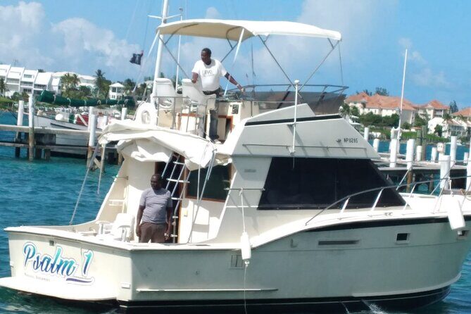 Half-Day at Green Cay Bahamas Snorkeling with Turtles - Rose Island lunch and private beach time: the payoff hour
