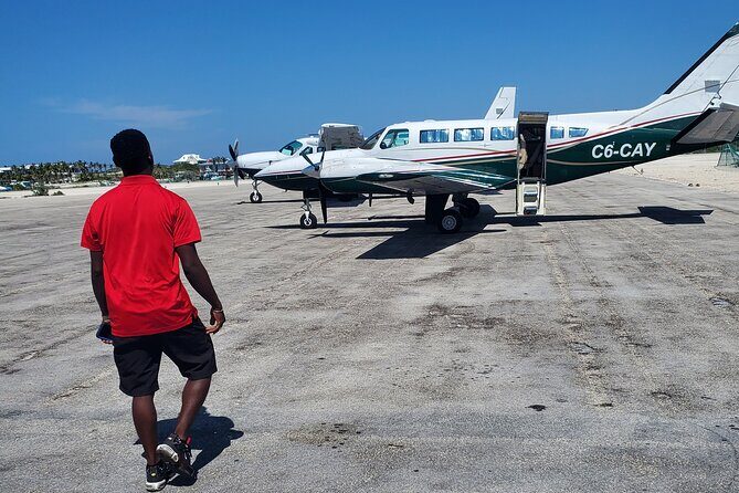 HALF DAY Swiming Pigs and Sharks Tour (Nassau to Exuma by Plane) - Key highlights at a glance