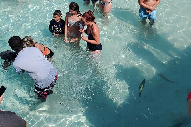 HALF DAY Swiming Pigs and Sharks Tour (Nassau to Exuma by Plane) - Nassau to Exuma by chartered plane: how the day stays fast