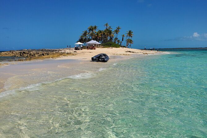 HALF DAY Swiming Pigs and Sharks Tour (Nassau to Exuma by Plane) - Compass Cay sharks: close marine viewing without the chaos