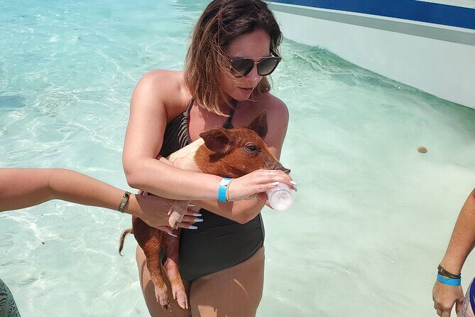 HALF DAY Swiming Pigs and Sharks Tour (Nassau to Exuma by Plane) - Staniel Cay Yacht Club: the first Exuma landing has real personality