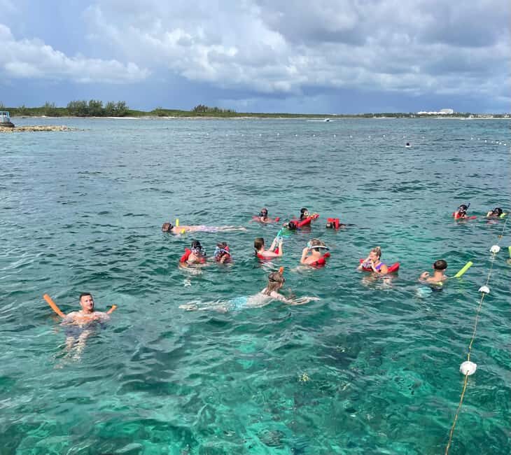 Nassau: 3 Islands Boat w/ Swimming Pigs, Snorkeling & Turtle - Practical Packing Checklist for Nassau Pig Tours