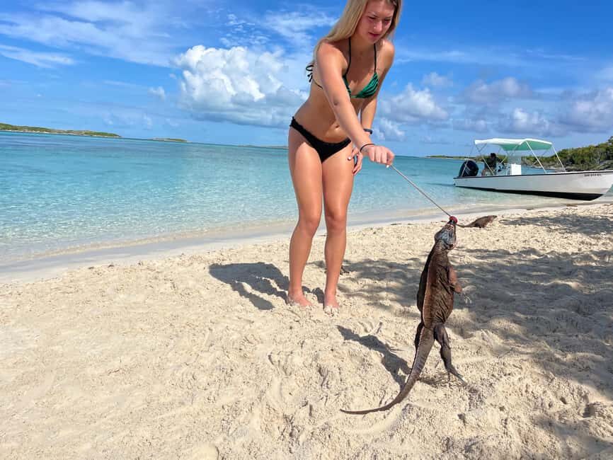 Nassau: 3 Islands Boat w/ Swimming Pigs, Snorkeling & Turtle - What’s Included in the $175 Price and What You’ll Pay Extra