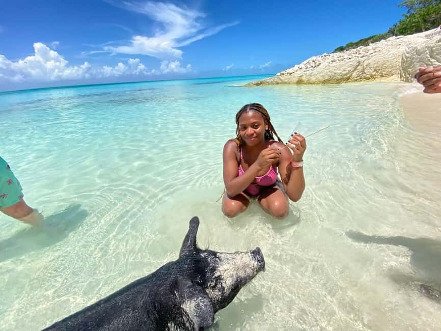 Nassau: 3 Islands Tour, Snorkel, Pig Beach, Turtles & Lunch - Nassau 3 Islands Tour: a half-day that feels like a full day