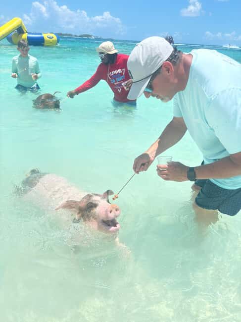 Nassau: 4-Island Tour Swimming Pigs, turtles, snorkeling - Snorkeling the protected reef without the hassle
