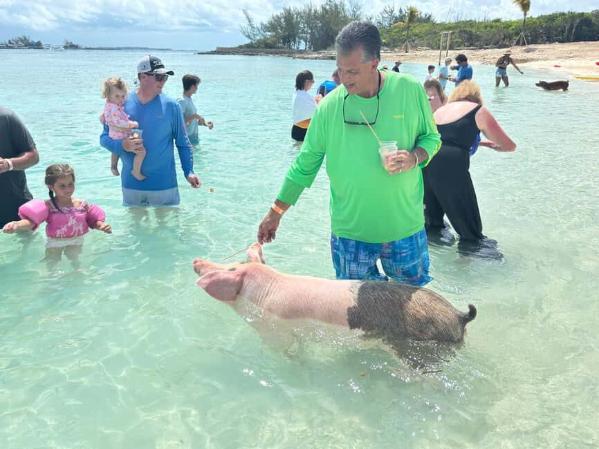 Nassau: 4-Island Tour Swimming Pigs, turtles, snorkeling - Athol Island pigs: the shallow-water photo moment