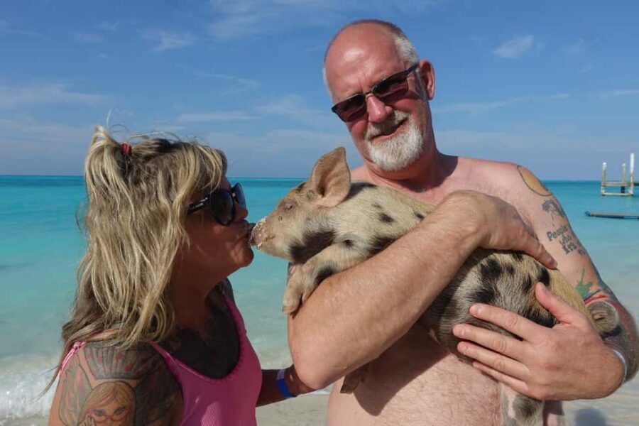 Nassau ATV & Swimming Pigs Tour - A 3.5-hour Nassau plan that mixes driving, forts, and pigs