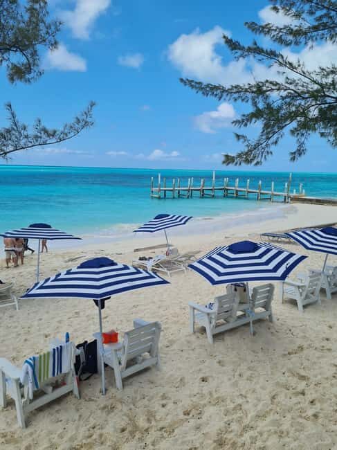 Nassau ATV & Swimming Pigs Tour - Catamaran harbor tour plus snorkeling or fish feeding