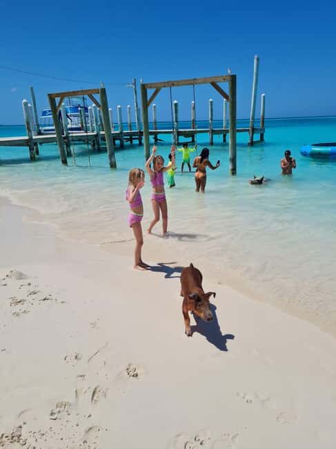 Nassau ATV & Swimming Pigs Tour - Lunch, fruit punch, and rum punch: the included break you’ll appreciate