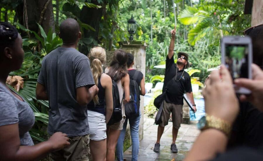 Nassau: Bites and Sites Food and Cultural Walking Tour - Your Five Tastings: Bahamian Comfort, Chocolate Truffles, and Macaroni Magic