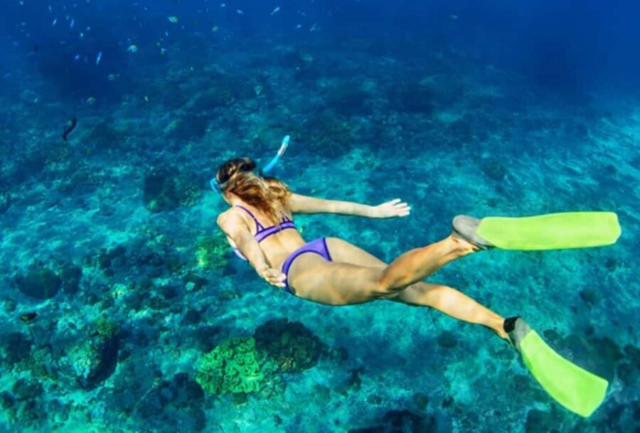 Nassau: Catamaran Sail and Snorkel Tour - Paradise Island check-in: slip #7 behind Margaritaville