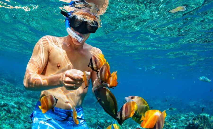 Nassau: Catamaran Sail and Snorkel Tour - After snorkeling: the hour of open bar you’ll actually use