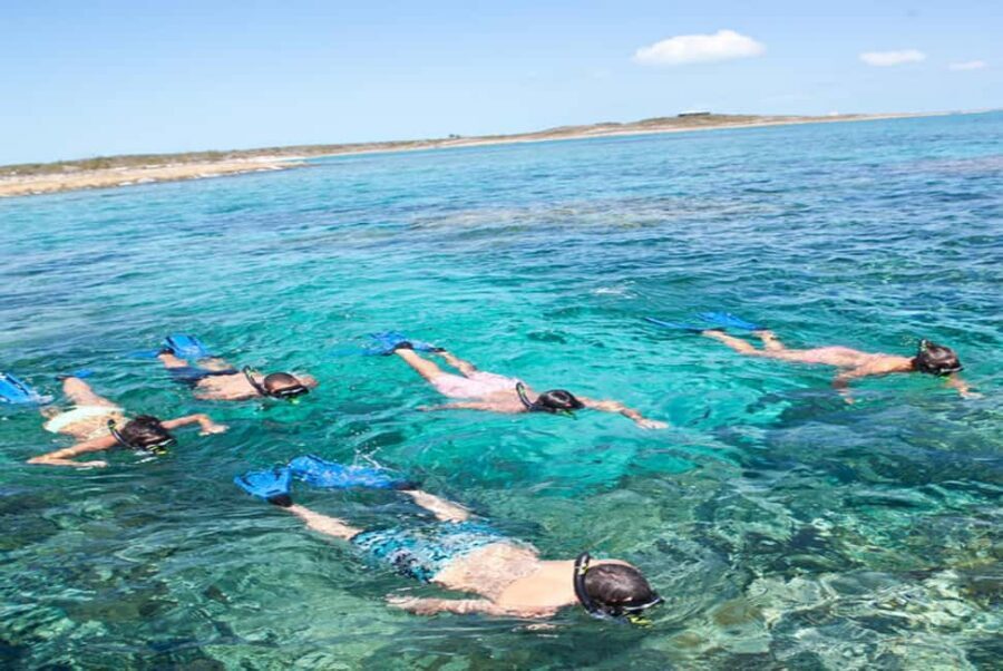 Nassau: Catamaran Sail and Snorkel Tour - Who this tour suits best (and who might prefer something else)