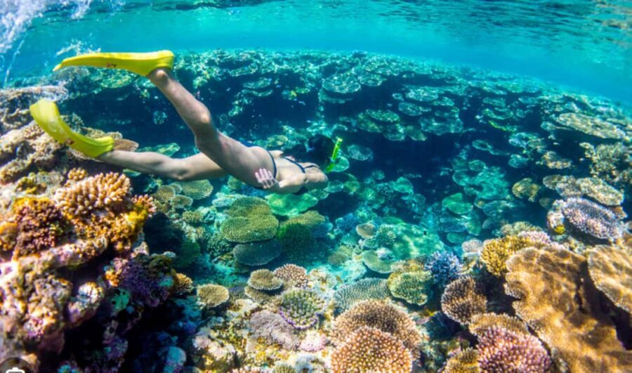 Nassau: Catamaran Sail and Snorkel Tour - Should you book the Nassau catamaran sail and snorkel?