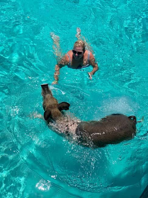Nassau: Discover Exuma Island Hopping and Swimming Pigs Tour - Big Major’s Cay Swimming Pigs: Feeding, Floats, and Photos