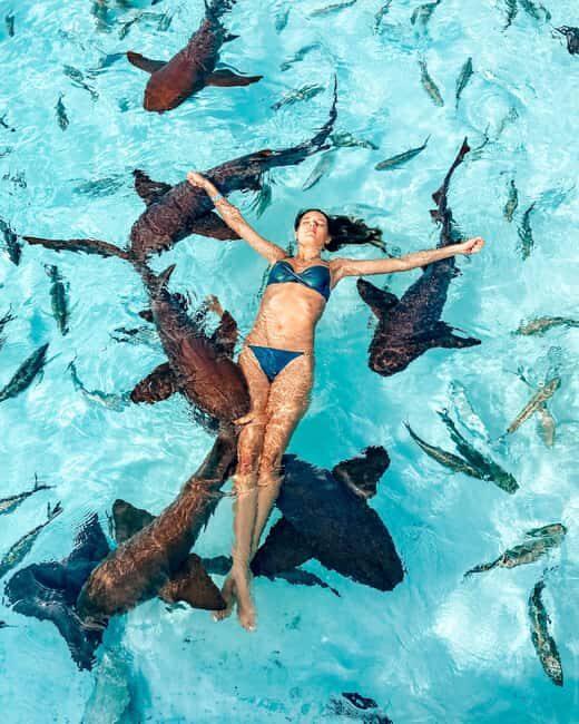 Nassau: Discover Exuma Island Hopping and Swimming Pigs Tour - Lunch at Exuma: Included Food and a Much-Needed Reset