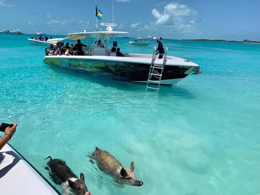 Nassau: Discover Exuma Island Hopping and Swimming Pigs Tour - The Speedboat Ride From Paradise Island: Time on the Water